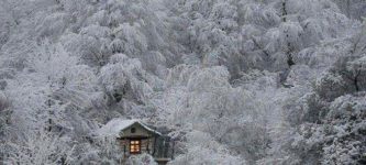 Winter+in+Japan