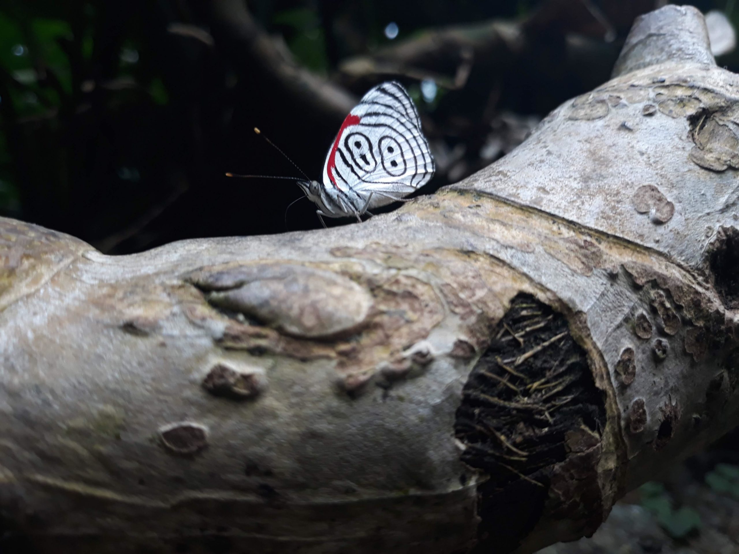 What%26%238217%3Bs+your+lucky+number%3F