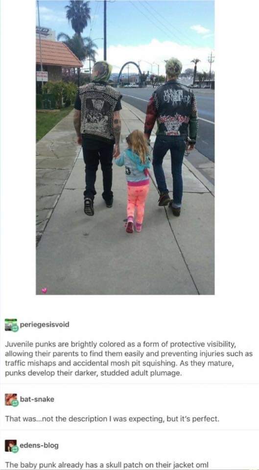 Never+go+full+punk%26%238230%3B