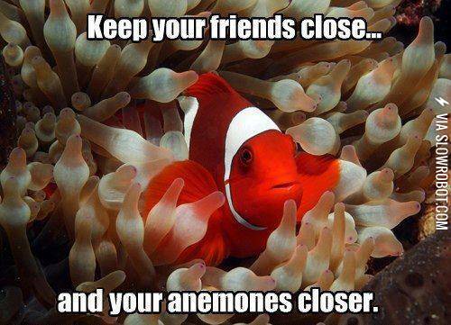 Keep+your+friends+close+and+your+anemones+closer.