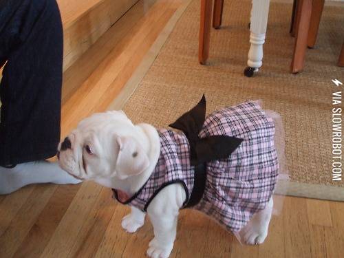 Does+this+dress+make+me+look+fat%3F