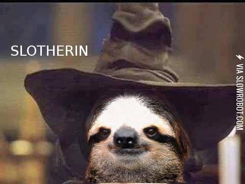 The+House+of+Slotherin.