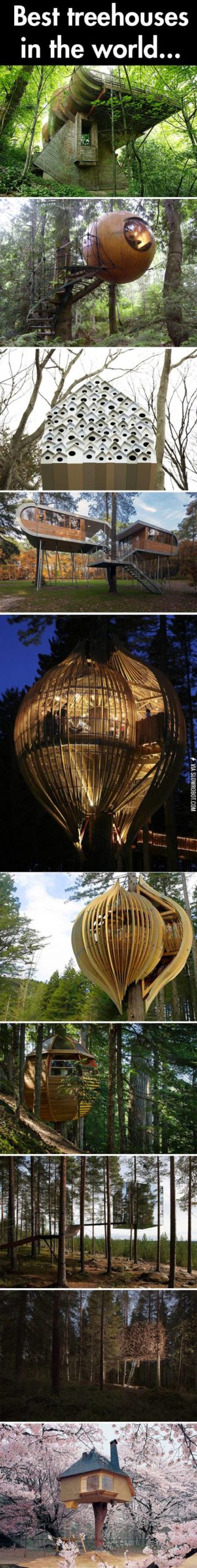 Best+treehouses+in+the+world.