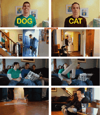 Dog+vs+Cat