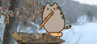 You+don%26%23039%3Bt+mess+with+Pusheen