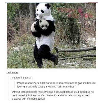 Panda+thief