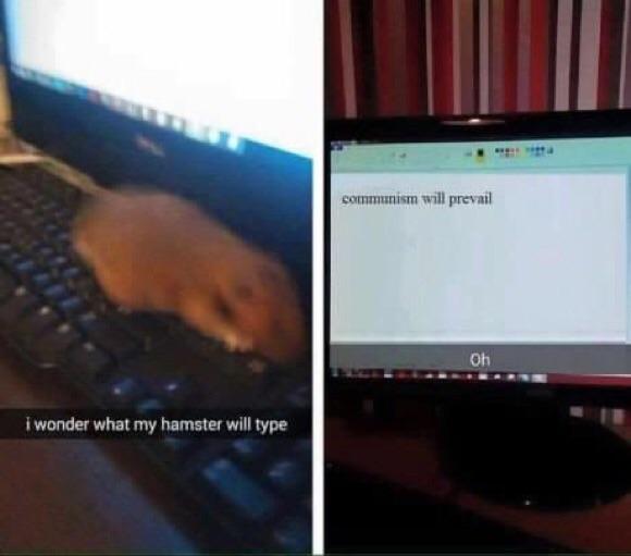 Hamster+and+sickle