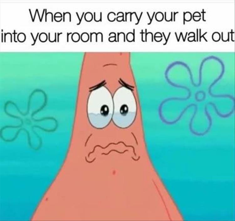 I+can%26%238217%3Bt+believe+you%26%238217%3Bve+done+this%26%238230%3B