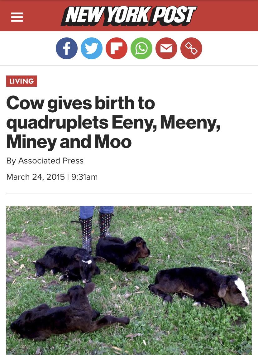 Very+moooving+%28old%29+news+that+you+can+use.