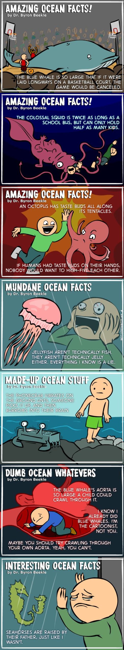 Amazing+ocean+facts.