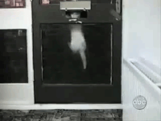 An+improvised+cat+door.