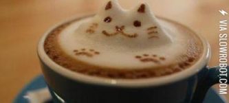 A+catuccino.