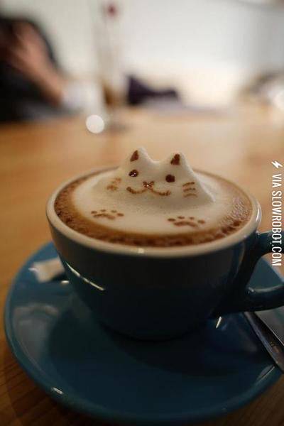 A+catuccino.