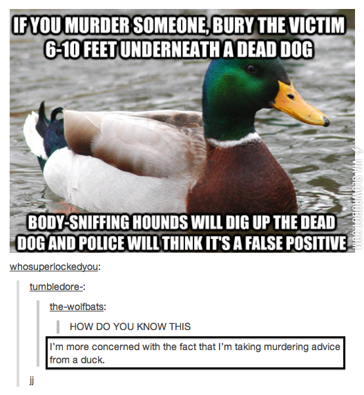 Taking+murder+advice+from+ducks%26%238230%3B