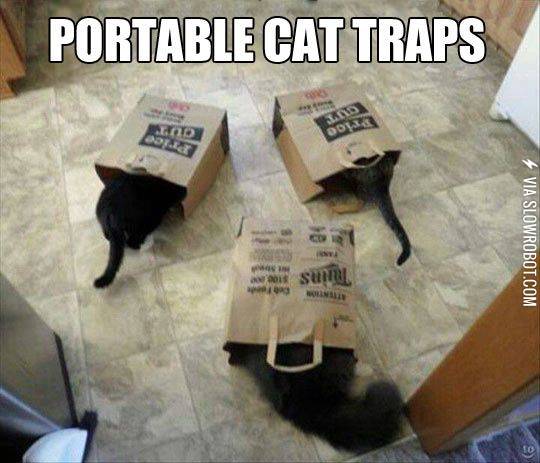 Portable+cat+traps.