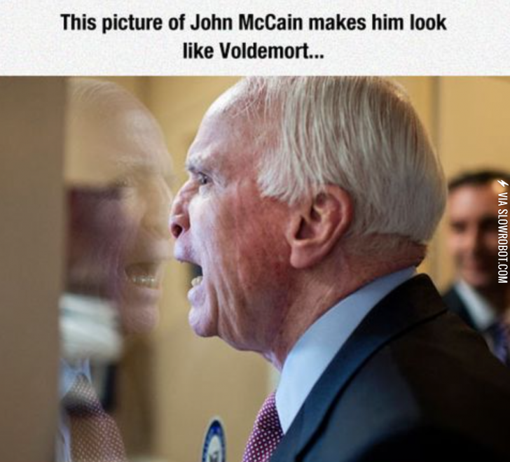 McCain+or+Voldemort.+I+am+so+scared+of+both%26%238230%3B