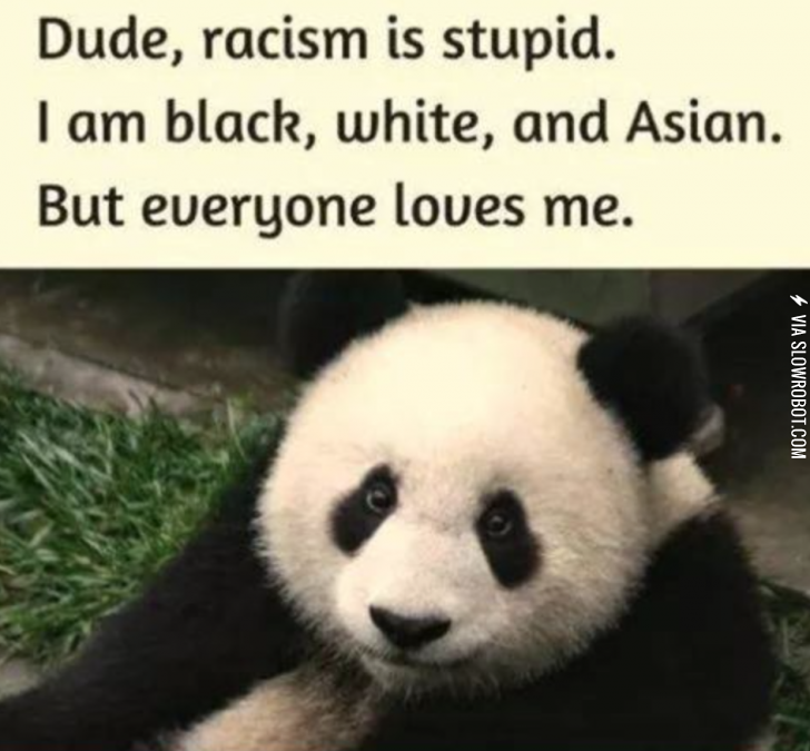 Racism+is+stupid.