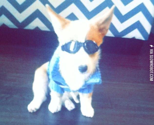 Wassup+Ladies%26%238230%3B.