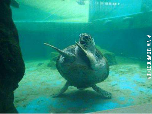 To+the+windoooooooo+to+the+wall