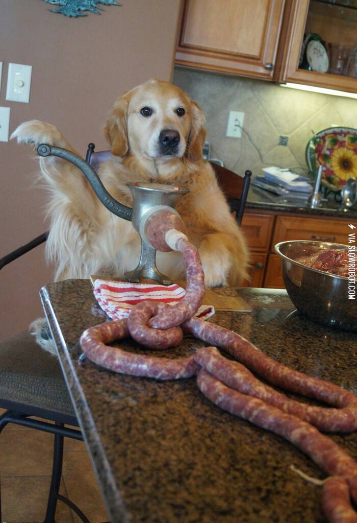 %26%238230%3Bno%2C+I+haven%26%238217%3Bt+seen+the+cat.+Why%3F