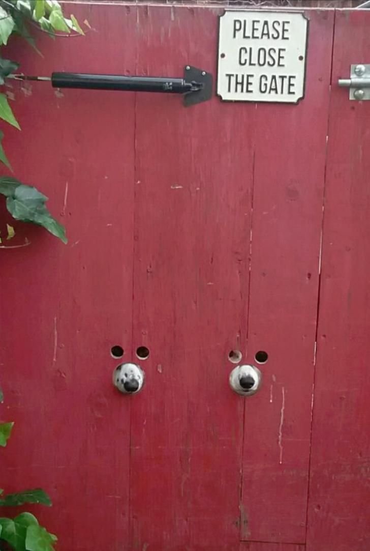 Dog-friendly+holes