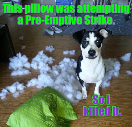 This+Pillow+Was+Attempting+A+Pre-emptive+Strike