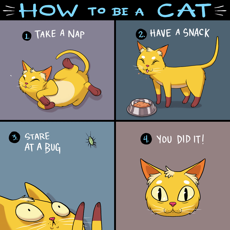 How+To+Be+A+Cat