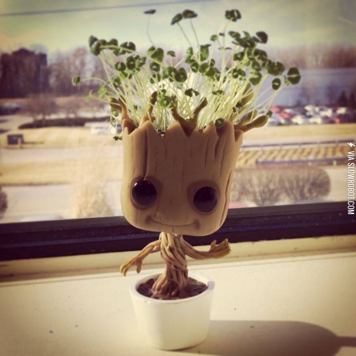 Introducing+chia+Groot