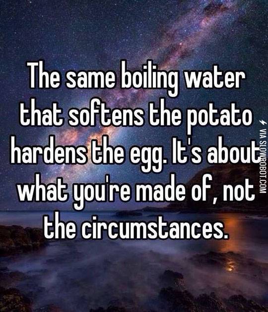 It%26%238217%3Bs+what+you%26%238217%3Bre+made+of.