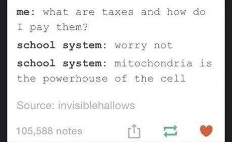 Thank+you+for+preparing+me+for+adulthood