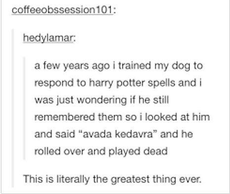 Have+a+biscuit+Potter