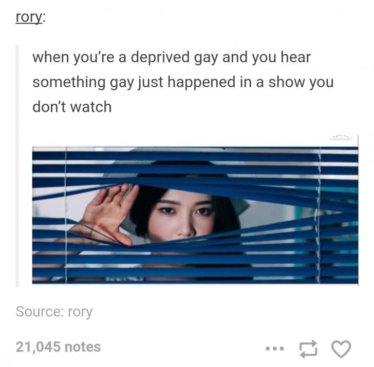 Give+me+all+the+gay+shows