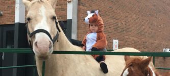 My+son+dressed+as+a+horse+riding+a+horse.