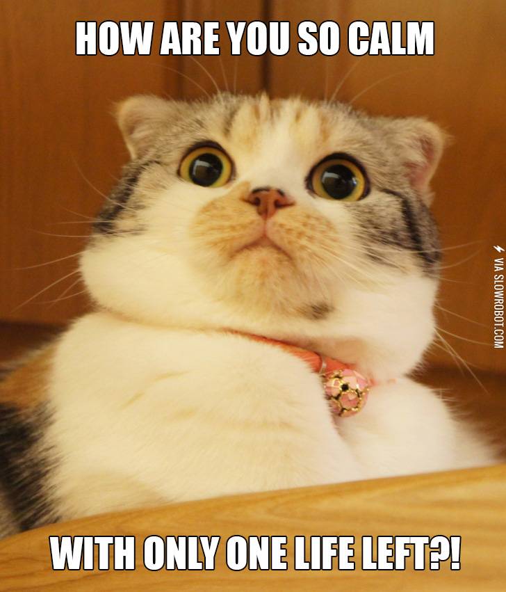 How+are+you+even+calm+right+now%3F%21