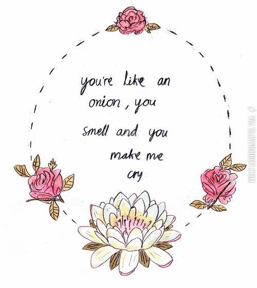 You%26%238217%3Bre+like+an+onion%26%238230%3B