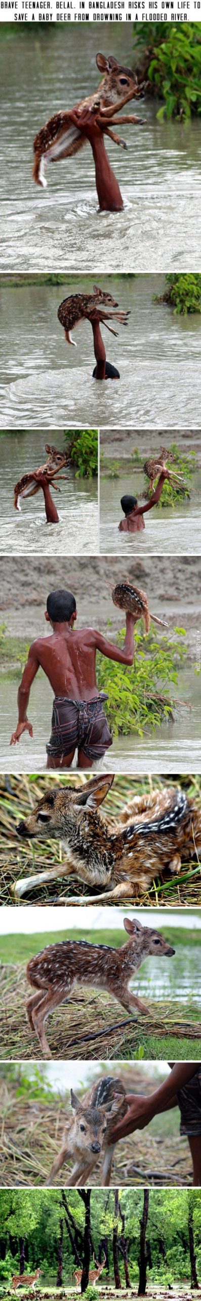 Faith+in+humanity+restored.