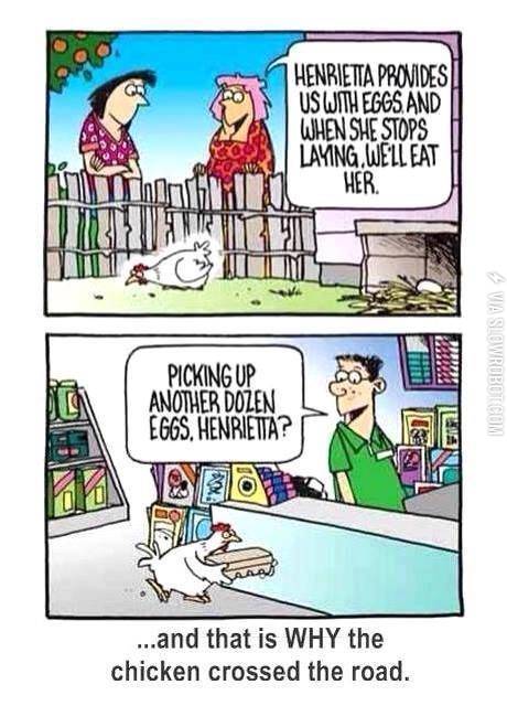 Why+did+the+chicken+cross+the+road%3F