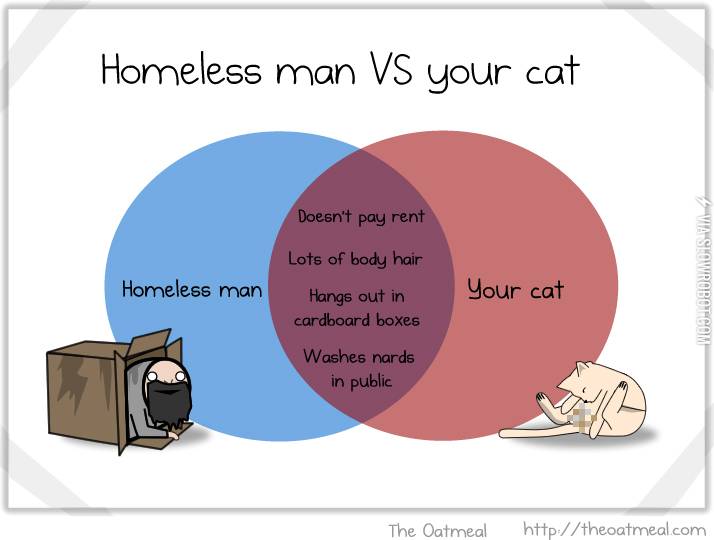 Homeless+man+vs.+your+cat.