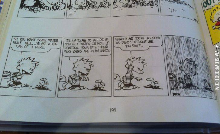 Calvin+and+Hobbes