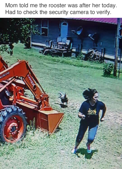 The+look+of+pure+terror