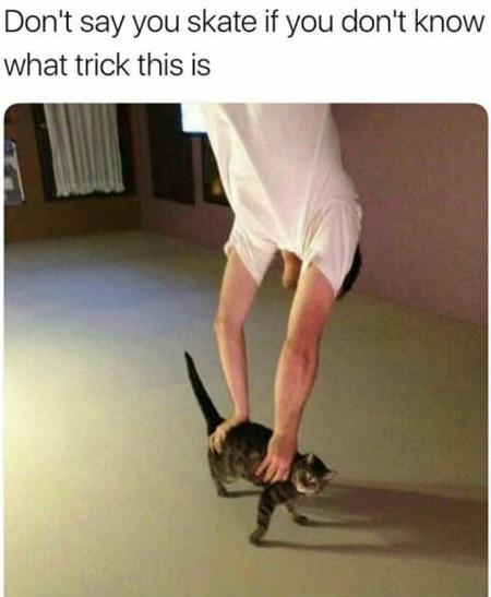 Do+you+even+skate%3F