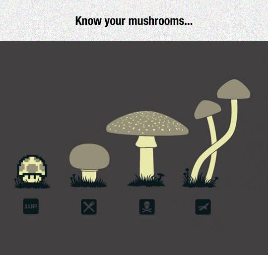 Know+your+shrooms
