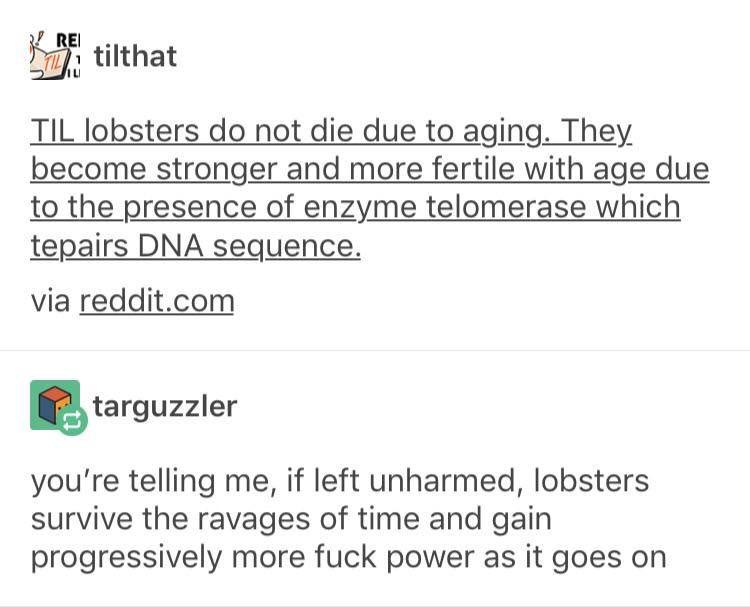 Lobster+is+Lorde