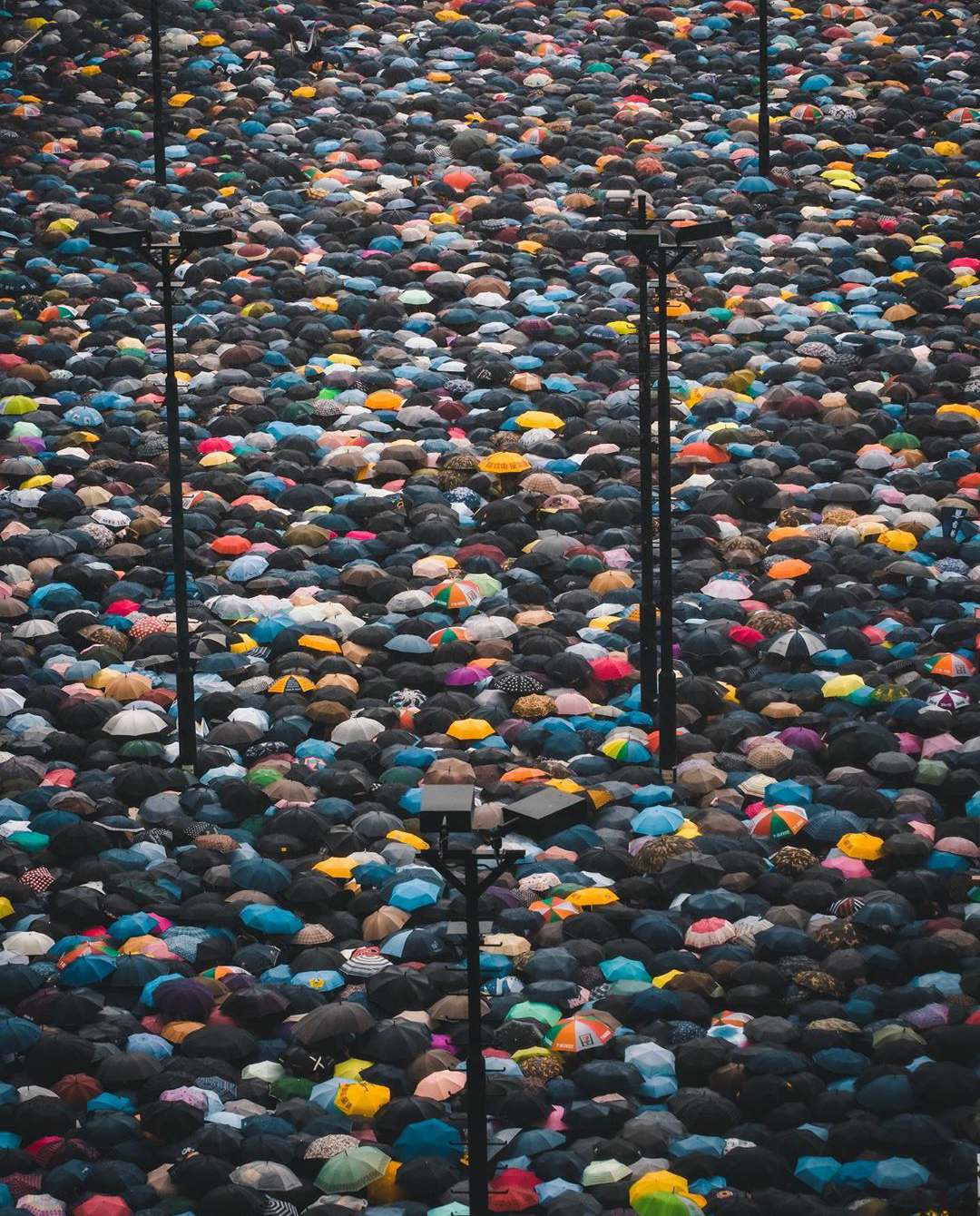 Protesters+under+a+sea+of+umbrellas+in+Hong+Kong