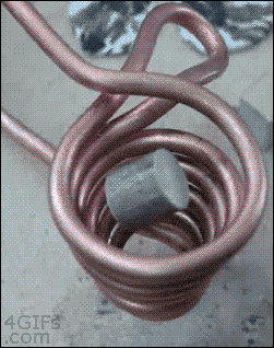 My+intestines+after+eating+mexican+food.