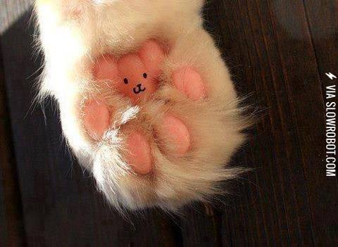 I+will+never+look+at+my+cat%26%238217%3Bs+paws+the+same.