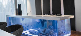 Aquarium+In+The+Kitchen