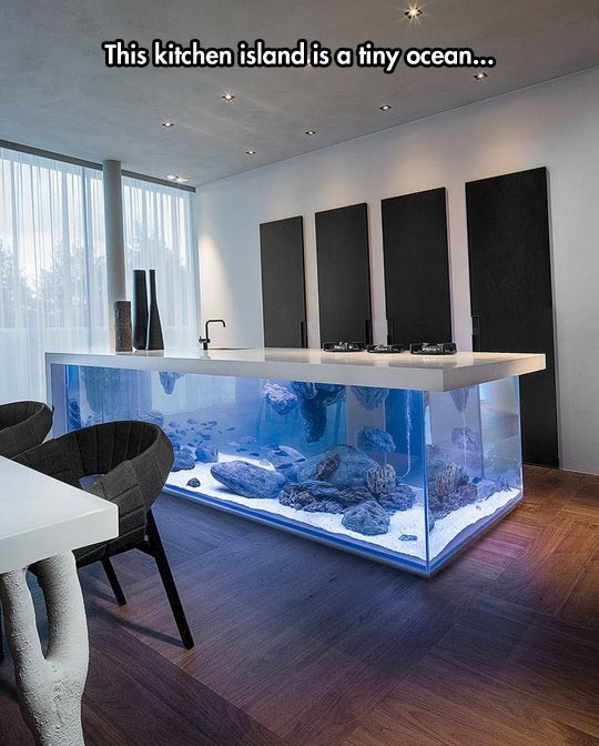 Aquarium+In+The+Kitchen