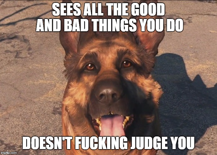 Dogmeat+is+a+good+boy.