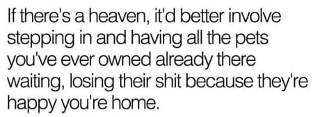 If+There%26%238217%3Bs+A+Heaven